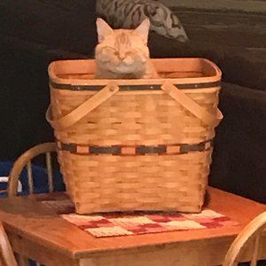 Meet your Posher, Susan